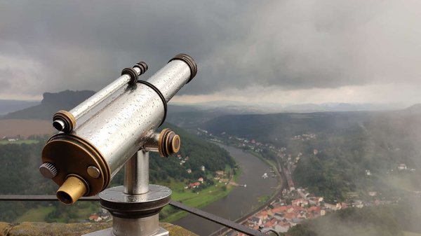 Comment planifier une session d'observation d'oiseaux nocturnes en camping forestier?
