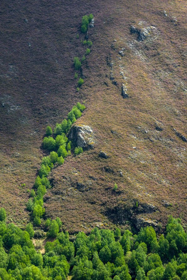 Comment organiser un voyage axé sur l'histoire coloniale en Amérique Latine?